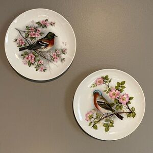 AK Kaiser porcelain, set of 2 decorative plates, bird collectibles